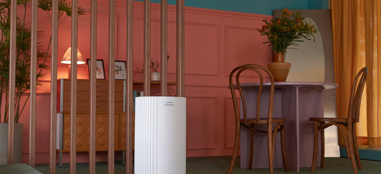 Airmega in a living room.