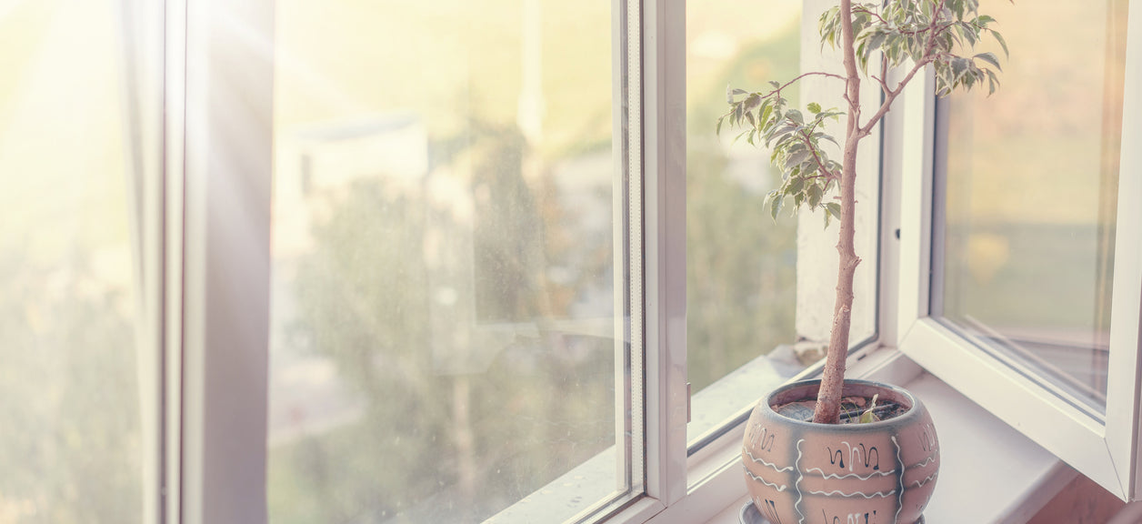 Prepare Your Space for Summer With These 6 Healthy Tips