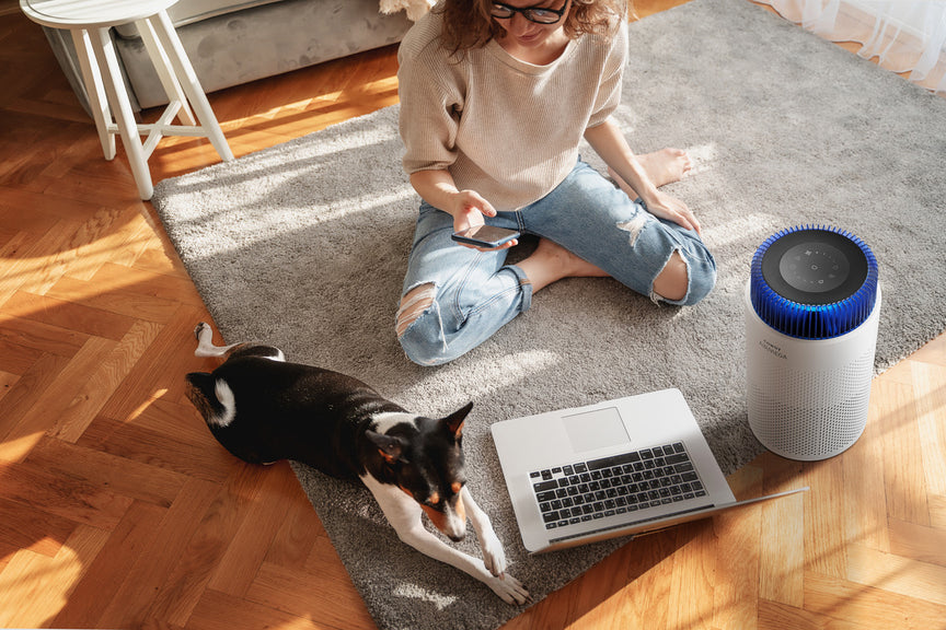 A family using the Airmega 100 with their dog.