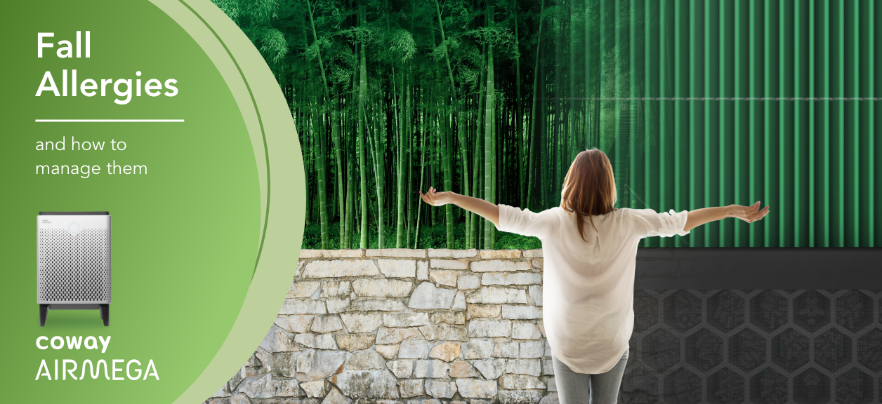 Fall allergies and how to manage them with Coway Airmega