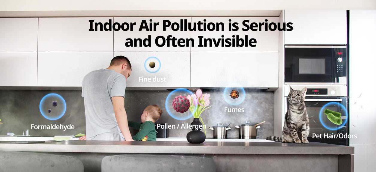 What is particulate matter?