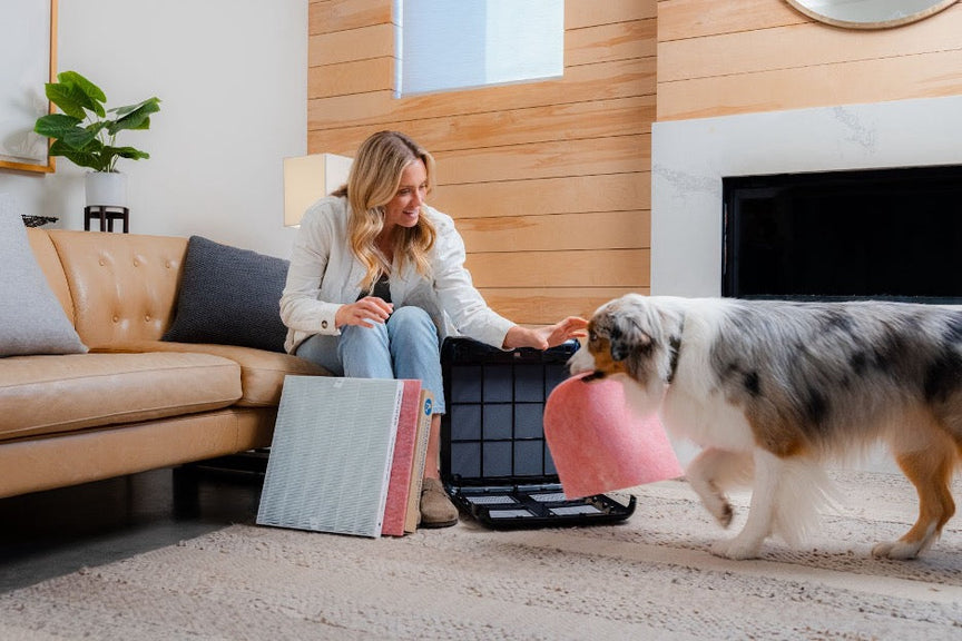 How to Clean an Air Purifier