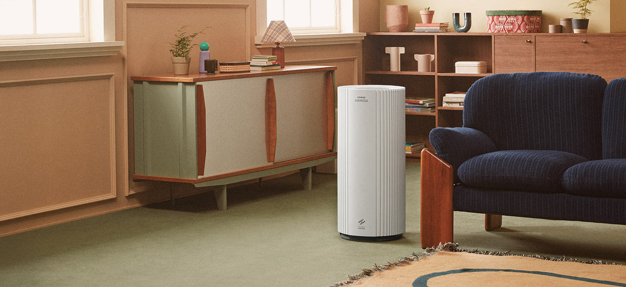 An Airmega in a living room.