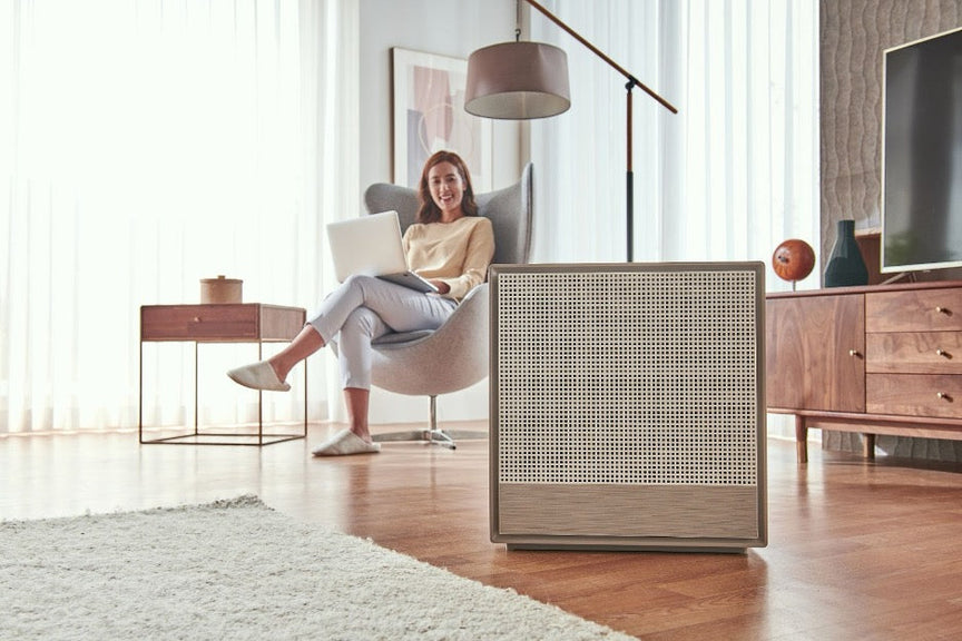 Airmega 250 and a woman on her laptop.