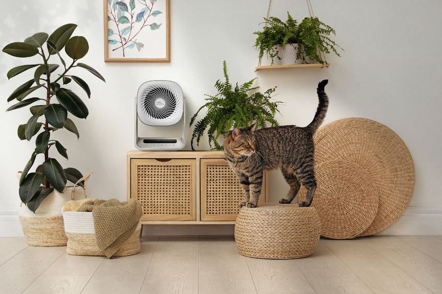 A cat near an air purifier for pets.