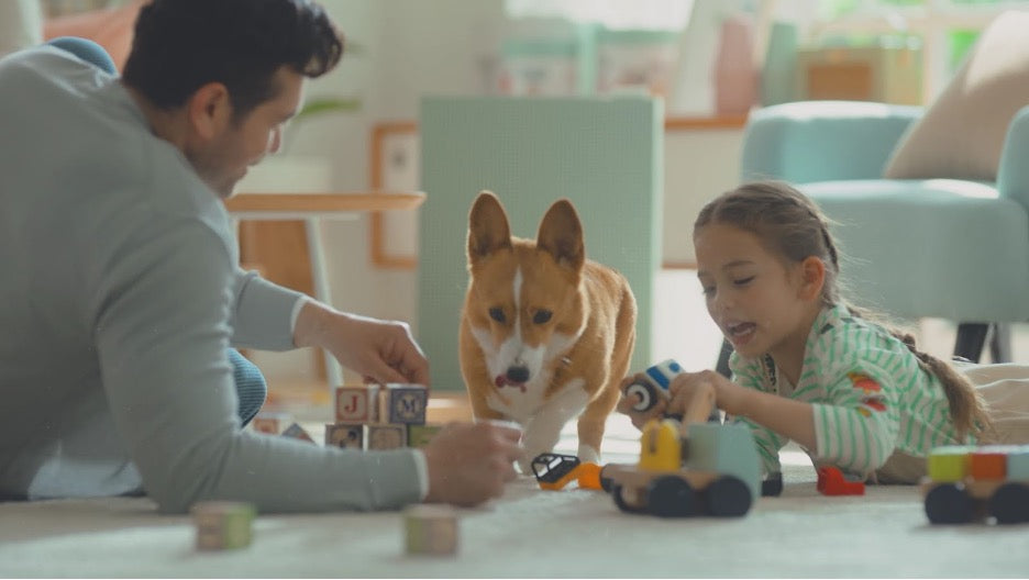 A family after a fall clean up from investing in an air purifier from Cowaymega.