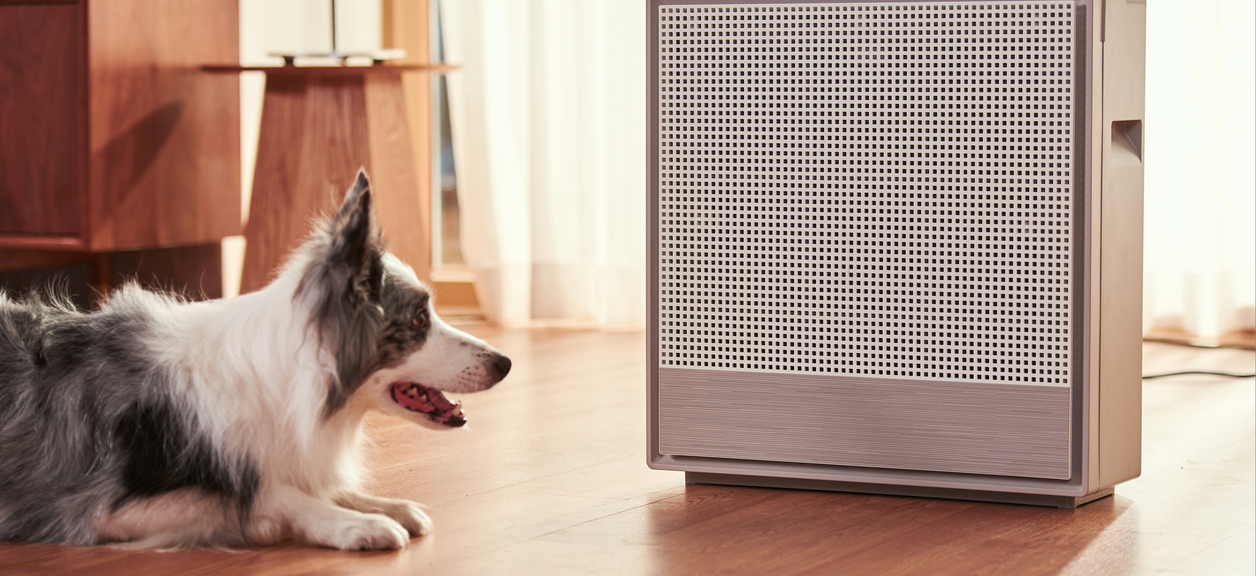 A person who purchased an air purifier after wondering: How can I help my dog breathe easier?