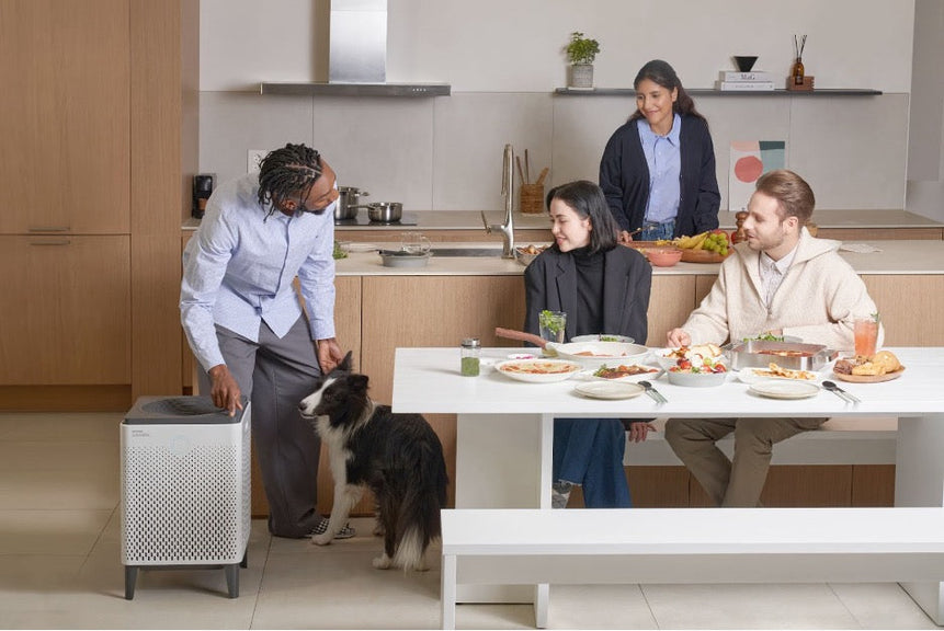 The Airmega 400S in a home with a dog and friends.
