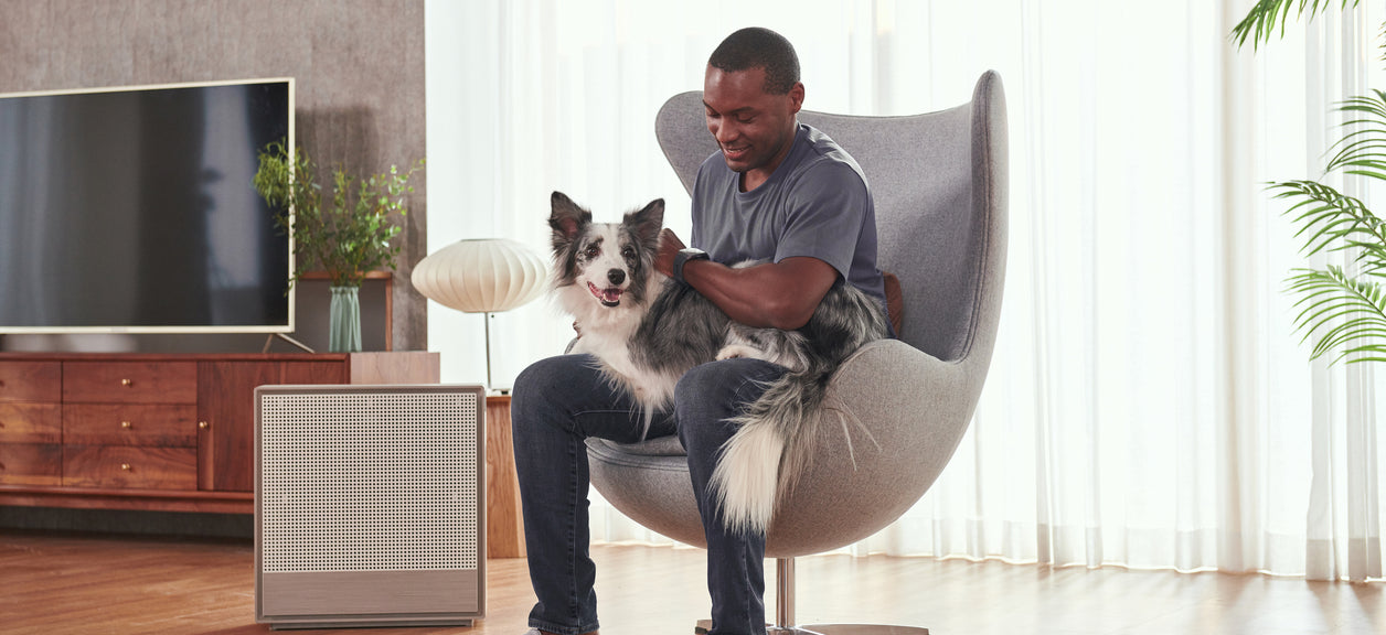 How to keep your house clean with pets.