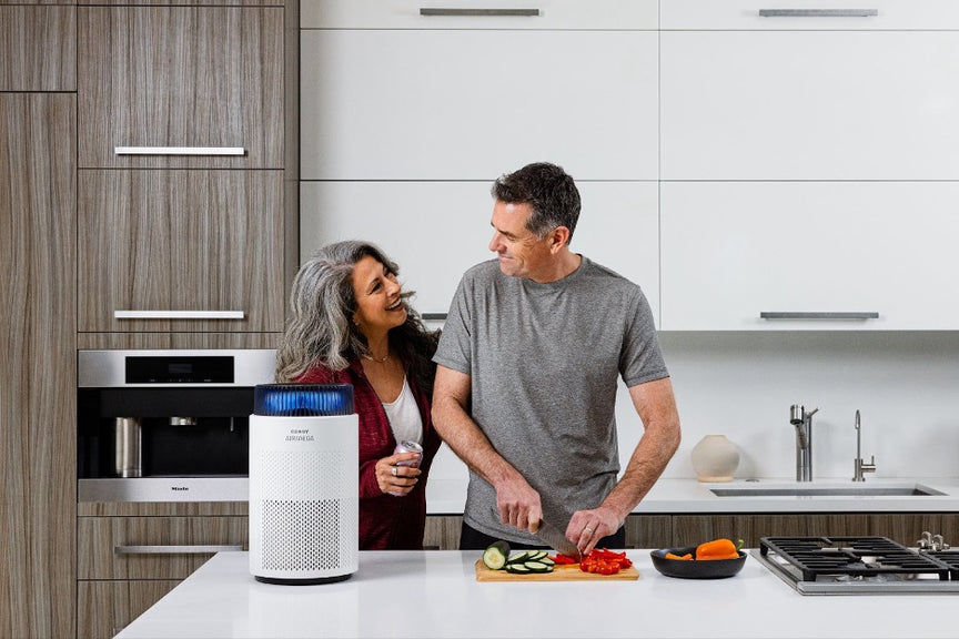The Airmega 100 in a kitchen.