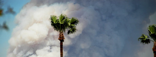 wildfire behind homes