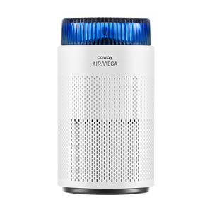 Airmega 100 Front View