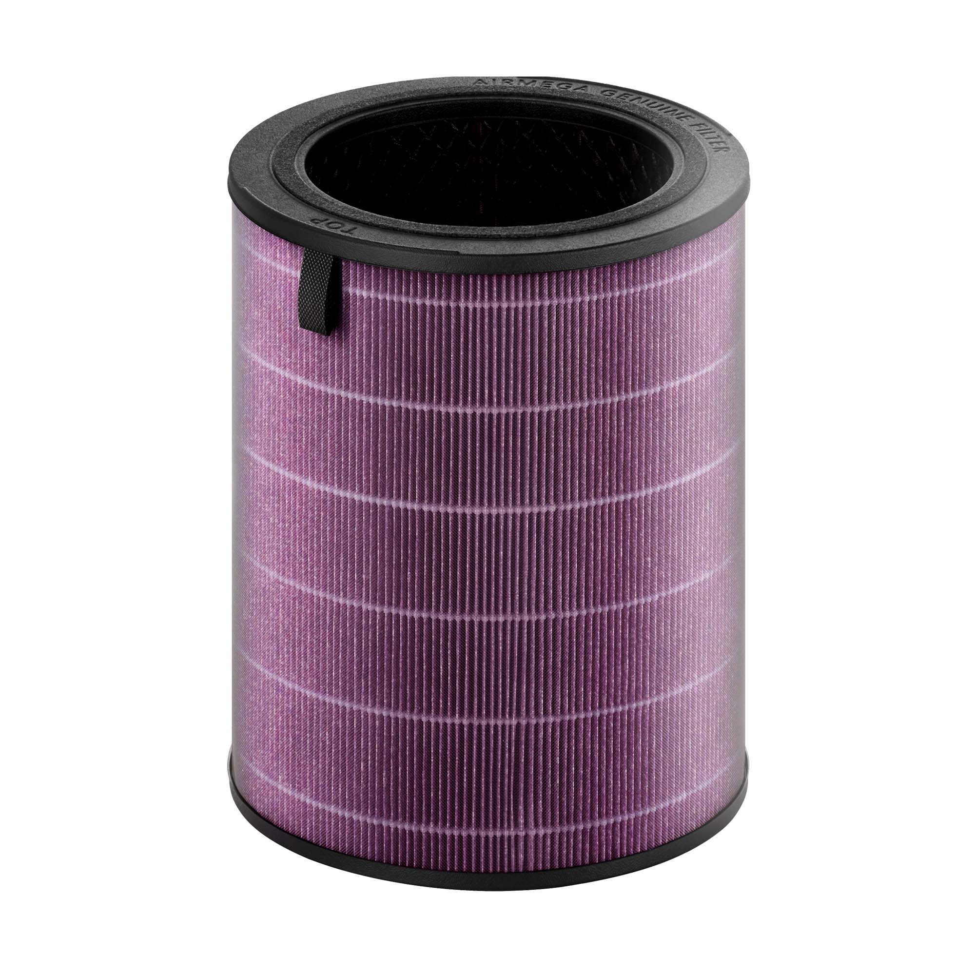 Airmega 350 Filter