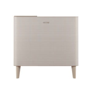 Airmega Icon Air Purifier Front