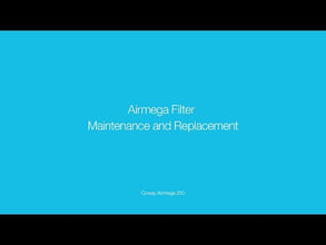 Coway Airmega 250 Filter Maintenance & Replacement Guide Video