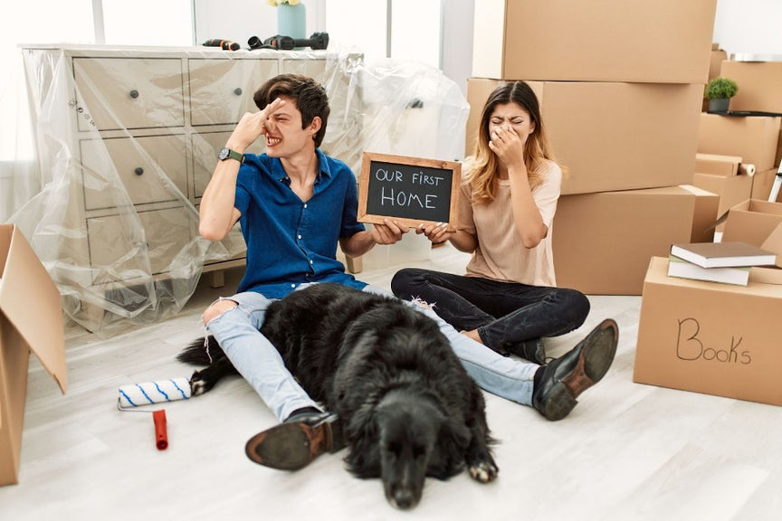 A couple in a new home wondering: do air purifiers remove smells?