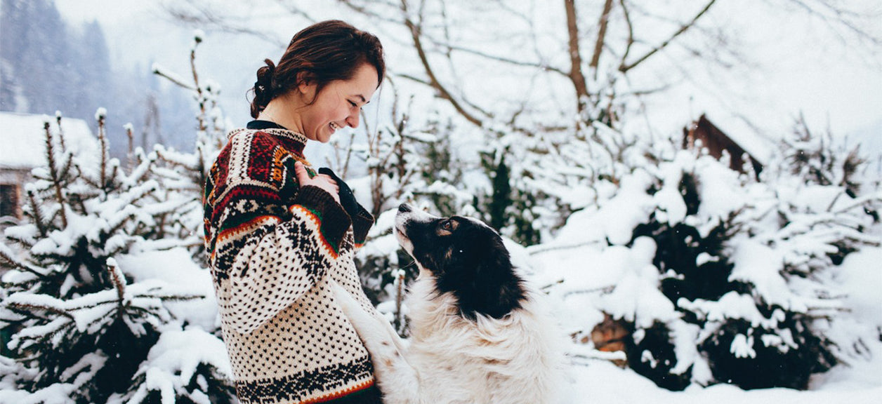 Dog jumping on lady in snow for air out there story