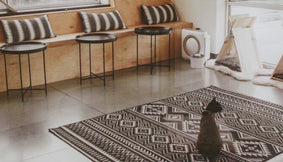 cat inside kitty cantina near coway airmega air purifier