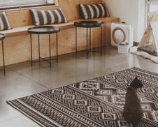 cat inside kitty cantina near coway airmega air purifier