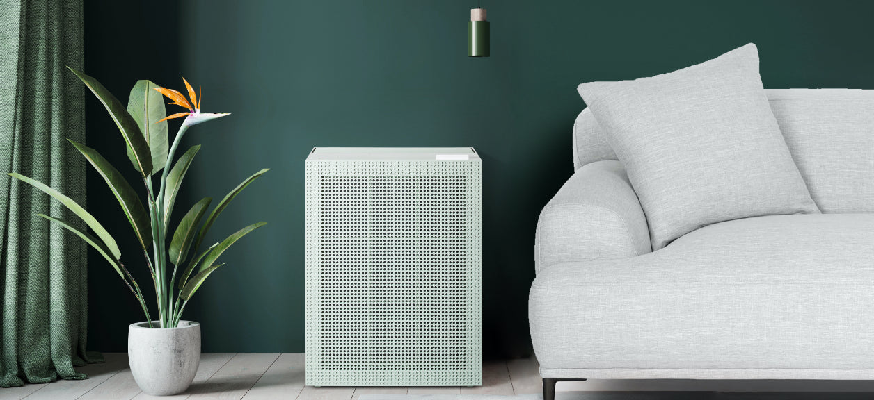 A dark green room with a light gray couch, an Airmega 150 air purifier in Sage Green and a potted plant. The three items sit side by side on display. 