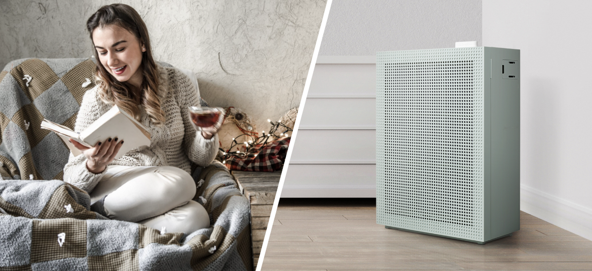 Beat Winter Allergies Top Rated Air Purifiers & Air Purifiers for Home