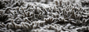 close up image of carpet