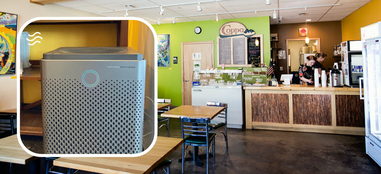 coway airmega air purifier inside coppa ice cream shop