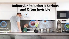 What is particulate matter?