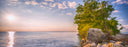 tree overlooking a lake with sunset in background