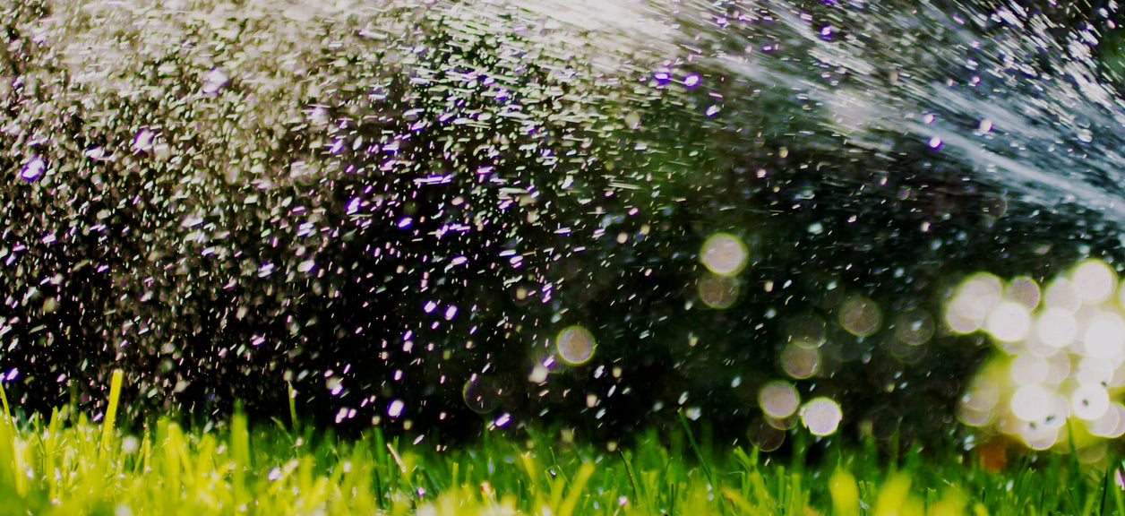 water spraying grass