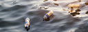 plastic bottles floating on water