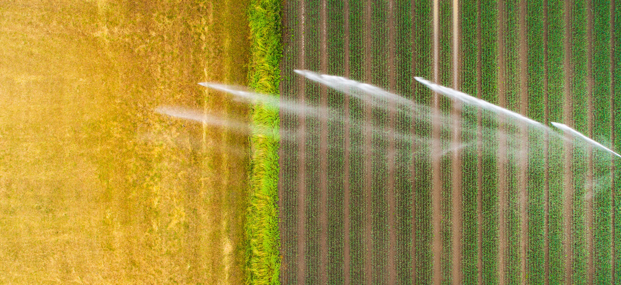 sprinkler on farm