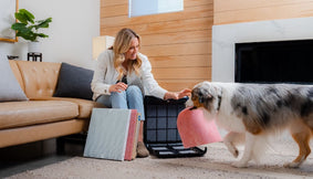 How to Clean an Air Purifier