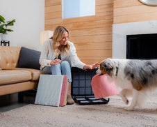 How to Clean an Air Purifier