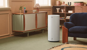 An Airmega in a living room.
