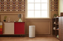 An Airmega in a funky living room.