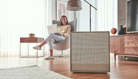 Airmega 250 and a woman on her laptop.