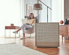 Airmega 250 and a woman on her laptop.