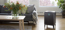 Airmega graphite in living room with flowers