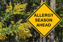  A sign that says: Allergy season ahead.