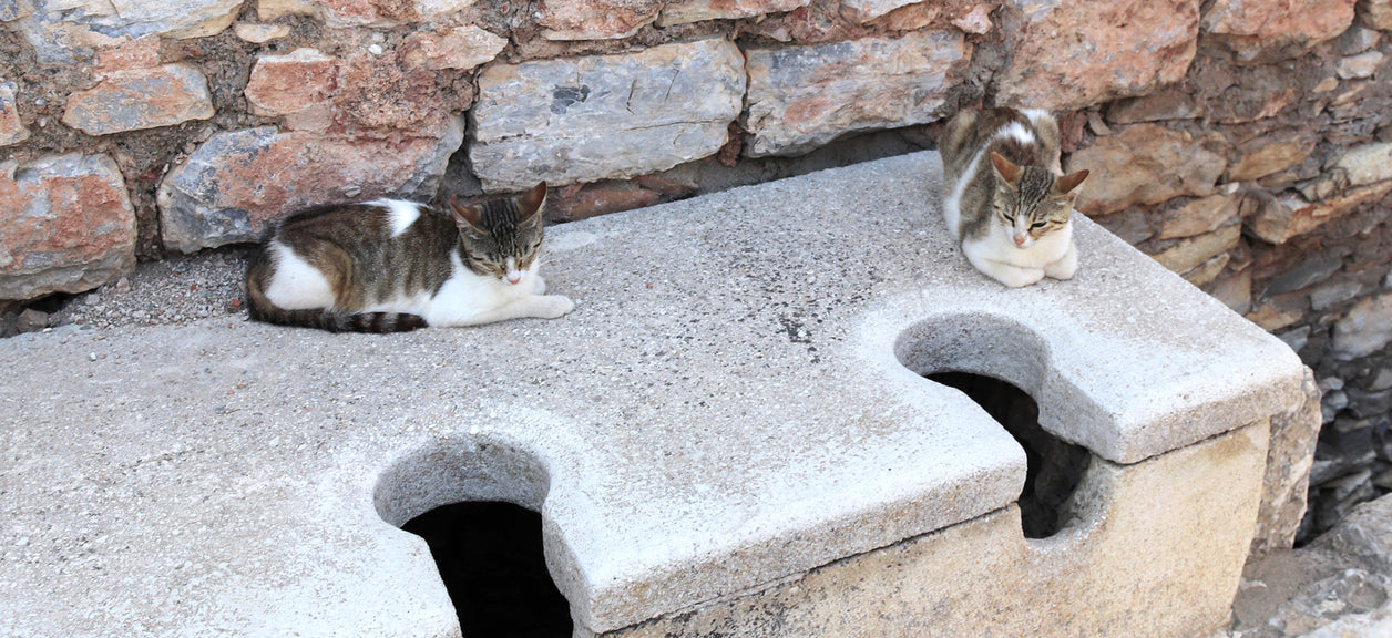 stone toilet