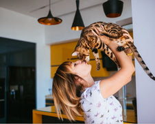 A child holding a cat.