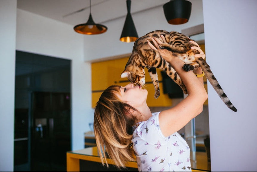 A child holding a cat.