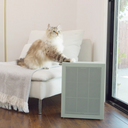 A cat touching an Airmega 150.