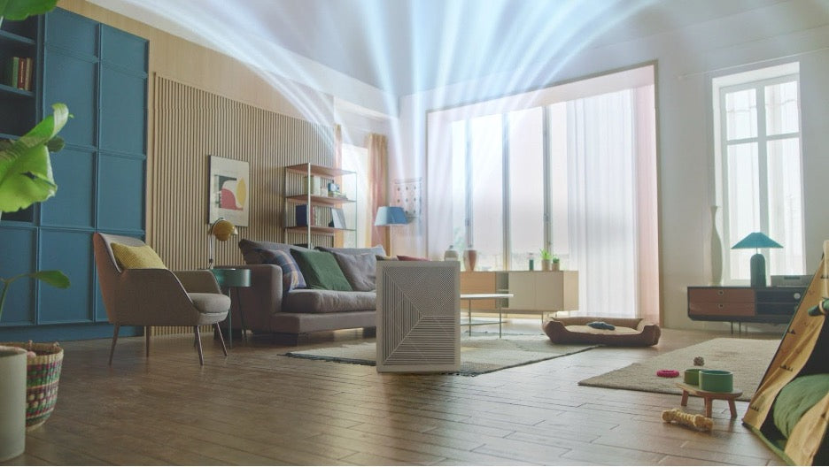 An Airmega 240 air purifier taking out particulate matter from the room.
