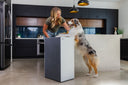 A dog standing next to an Airmega air purifier.