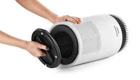 A Coway filter for an air filter subscription.
