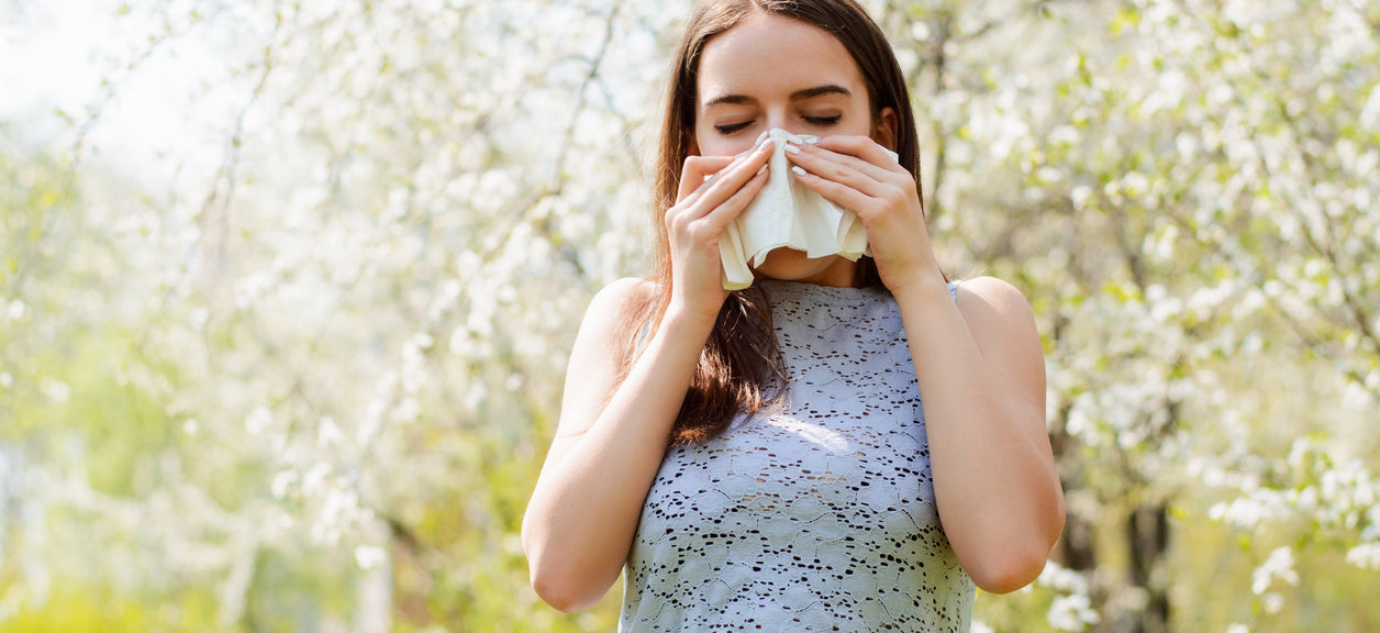 How to Help Spring Allergies with an Air Purifier