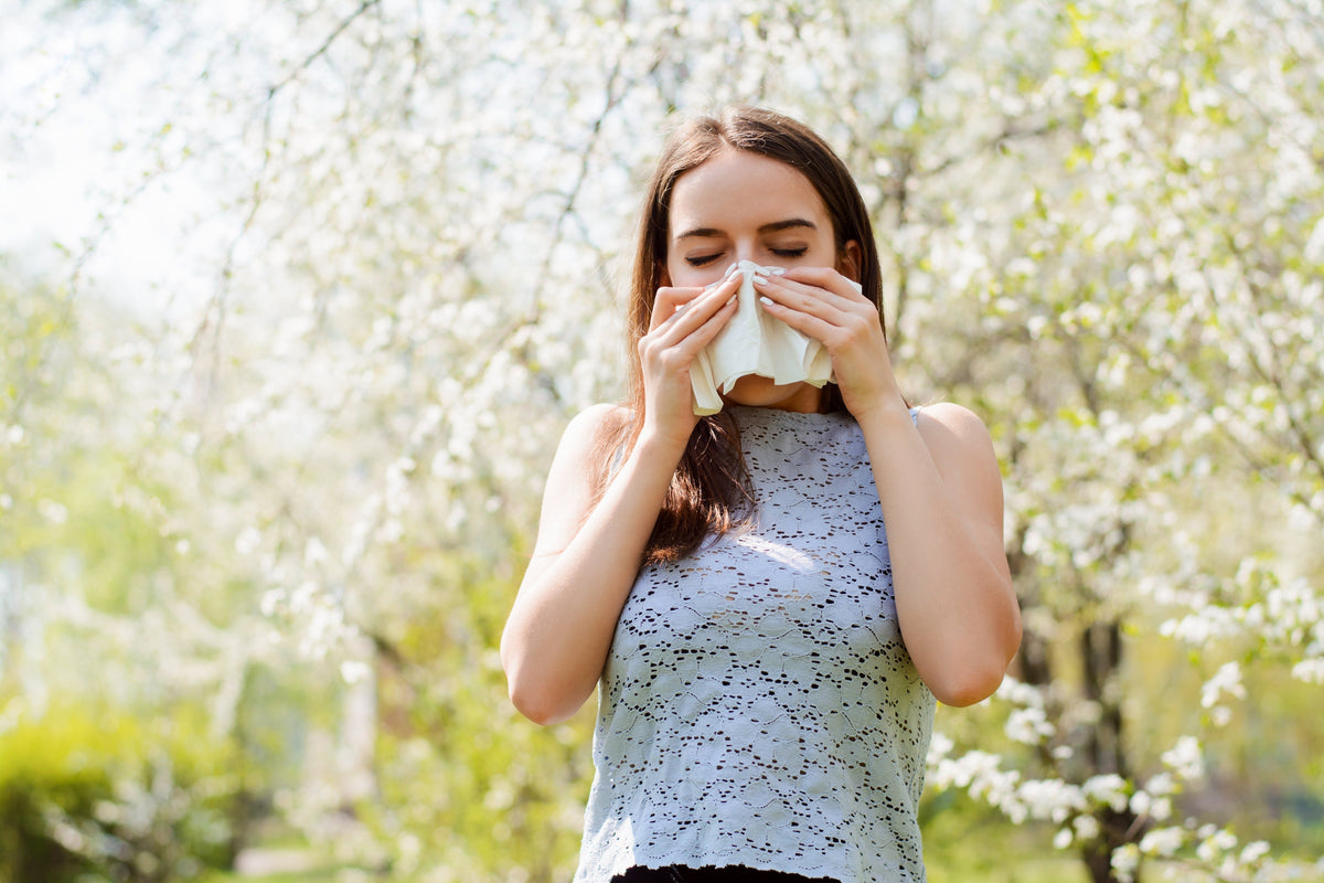 How to Help Spring Allergies with an Air Purifier | Cowaymega