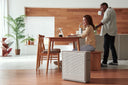 A couple working in their home with an Airmega 250.